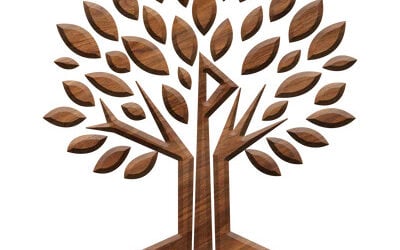 Primewood.shop Review 2026: Is This Specialized Shop the Real Deal for Penis Extenders, Pumps & Male Enhancement Kits?